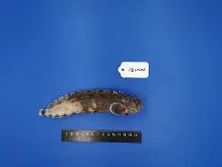 火博体育-繸j騂???I{u]?J澷匘杢樈的简单介绍